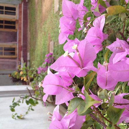 Manik Home Stay Kudapaduwa Esterno foto