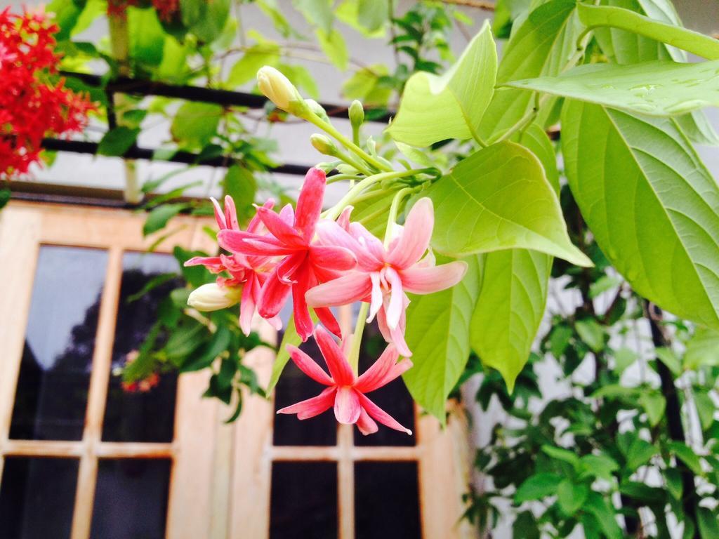 Manik Home Stay Kudapaduwa Esterno foto