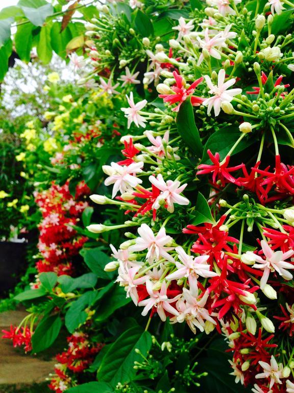 Manik Home Stay Kudapaduwa Esterno foto