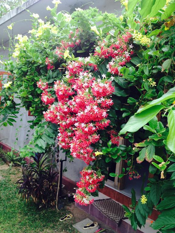 Manik Home Stay Kudapaduwa Esterno foto